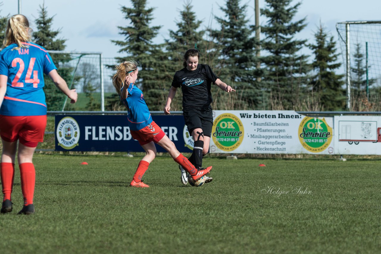 Bild 275 - C-Juniorinnen SV Steinhorst/Labenz - TSV Friedrichsberg-Busdorf : Ergebnis: 5:0